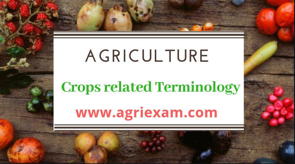 Crops related terminology Groundnut, Jute, Gram, Banana and Sugarcane, Potato and Sugarcane, sunflower, Tomato, Tobacco and Tea, Paddy, Maize