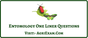 Entomology One Liner Question (31)