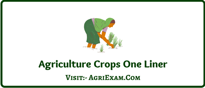 Pea Plant Best Question in Easy Form