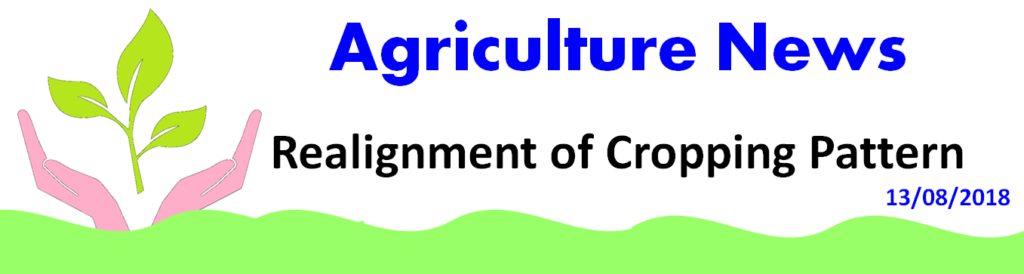 Cropping Pattern agro- climatic condition of the region, availability of resources like land & water, market forces, socio-economic condition Cropping Pattern agro- climatic condition of the region, availability of resources like land & water, market forces, socio-economic condition