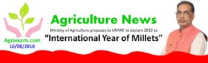 International Year of Millets International Year of Millets