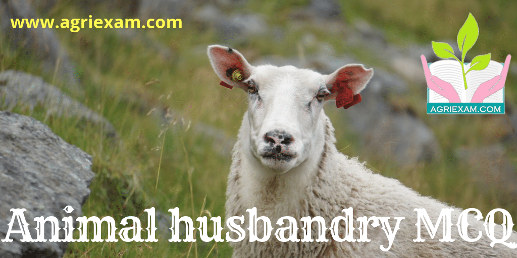 Animal Husbandry For Exam MCQ Test (8) - Agri Exam
