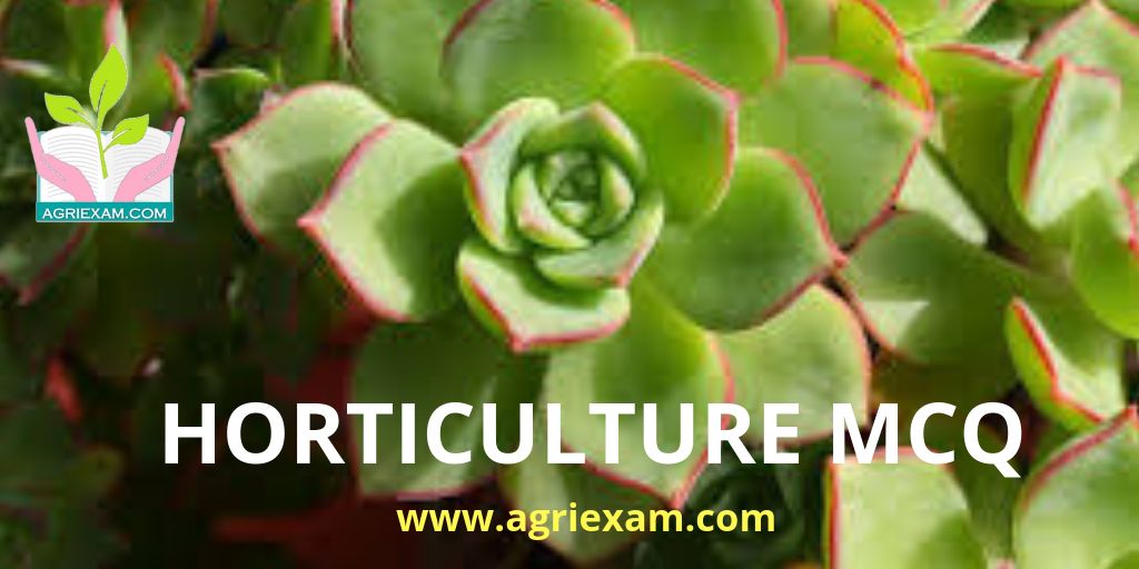 Horticulture Quiz 