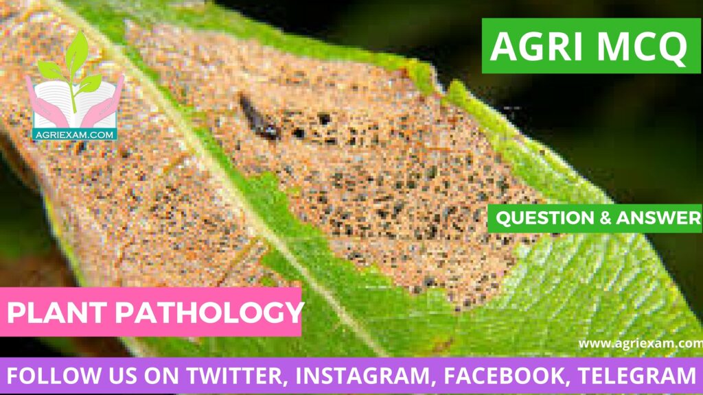 Plant Disease Plant Pathology Plant Genetics, Plant Physiology for Exams Like IBPS- AFO (Agriculture Field Officer) Iffco, Kribhco, NFL, NSC, ICAR-JRF/SRF/ ARS