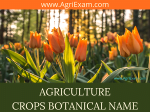 Plant Names Crops Botanical Names