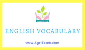 English Vocab A - 1