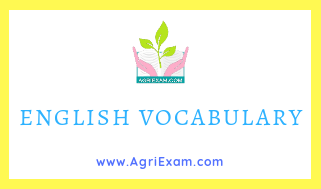 English Vocab A
