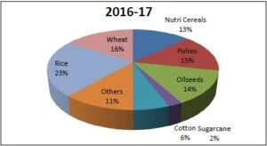 Study For All Agriculture Exams