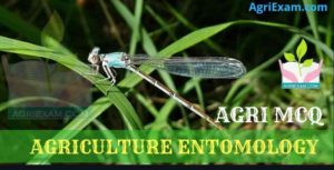 Agricultural Entomology MCQ Test (1)