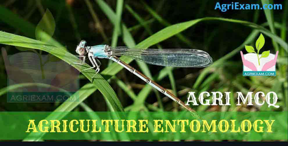 Agricultural Entomology MCQ