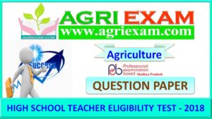 High School Teacher Eligibility Test MP 2018