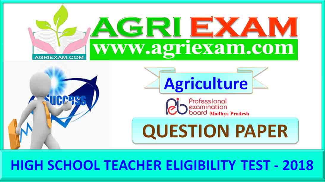 High School Teacher Eligibility Test MP 2018