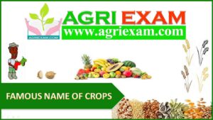Famous Name of Crops For Agri Exams