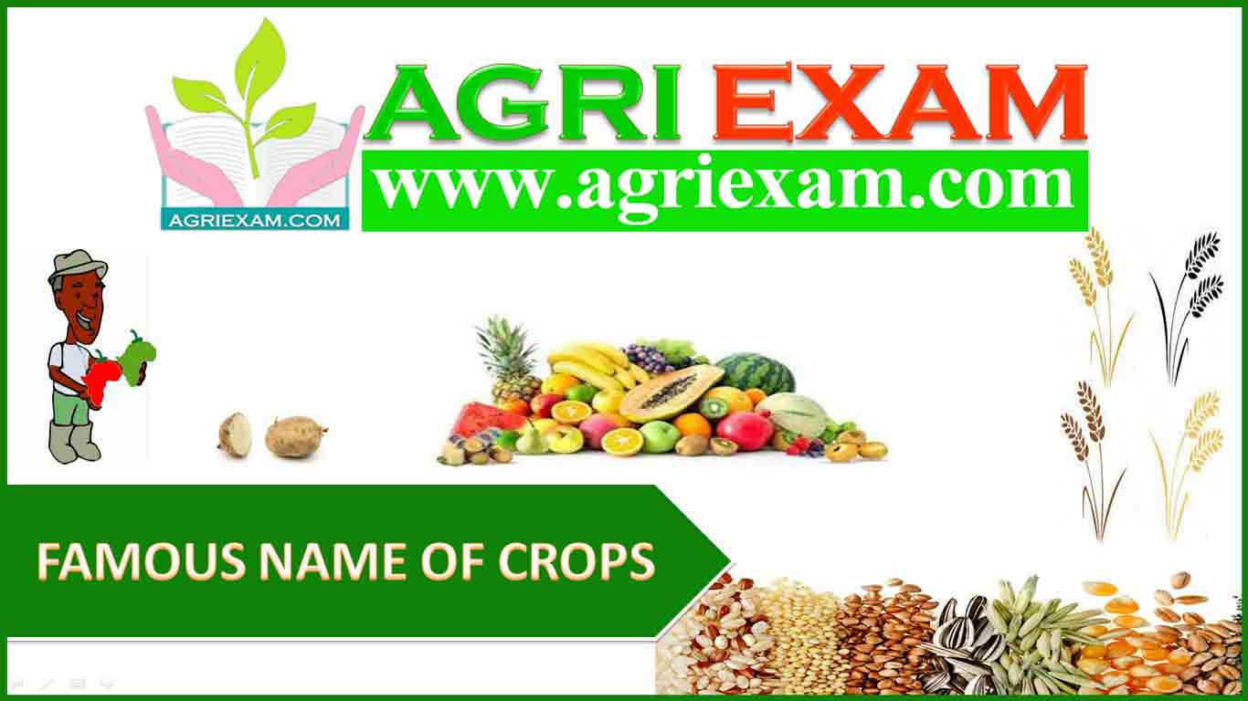 FAMOUS NAME OF CROPS