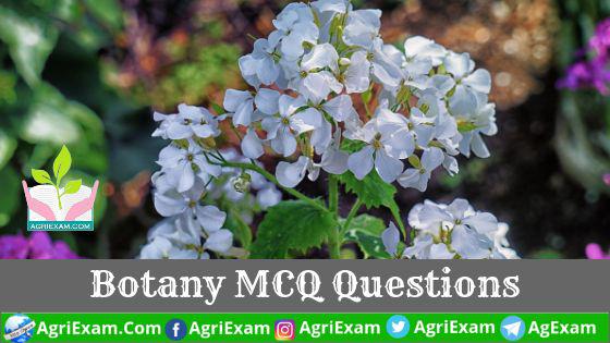 Botany MCQ Questions