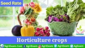 Vegetable Crops Seed Rate