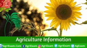 Agriculture Information