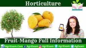 Mango Horticulture One Liner