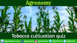 Tobacco Questions Online Part 1