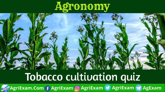 Tobacco Cultivation MCQ Quiz Online Part 4