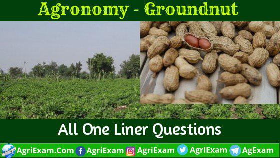 Groundnut One Liner Questions