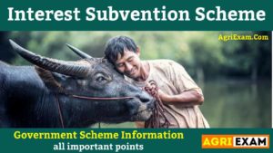 Interest Subvention Scheme