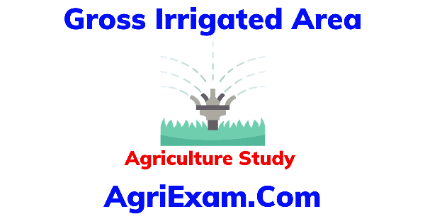 Gross Irrigated Area