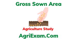 Gross Sown Area New Data 2023
