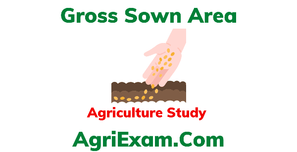 Gross Sown Area