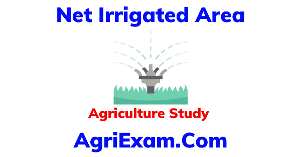 Net Irrigated Area 