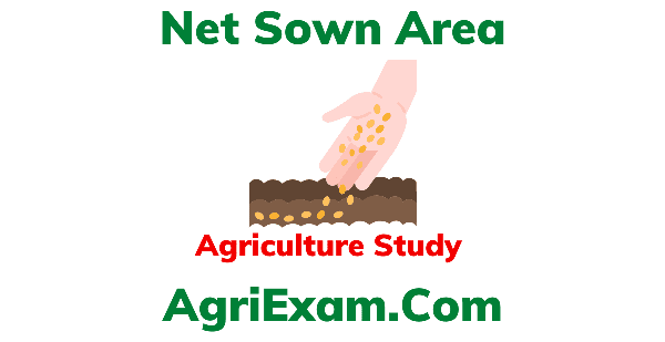 Net Sown Area New Data 2023