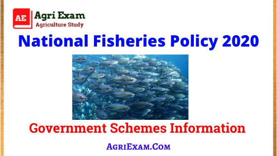 National Fisheries Policy