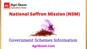 National Saffron Mission (NSM)