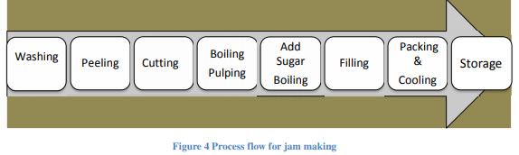 NABARD Norms Fruit & Vegetable Processing Unit