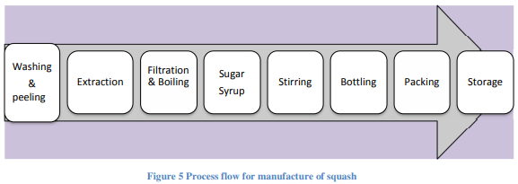 NABARD Norms Fruit & Vegetable Processing Unit