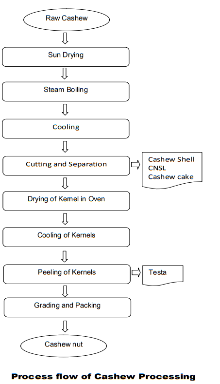 NABARD Norms Cashew Processing