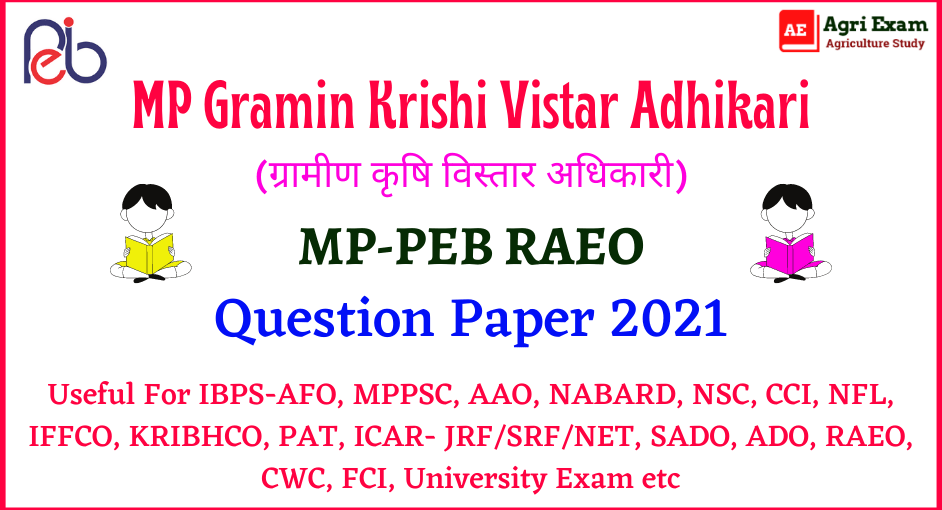 MPPEB RAEO Question Paper