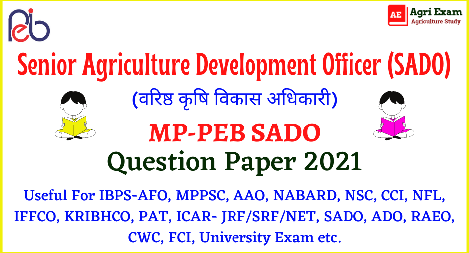 MP SADO Question Paper 