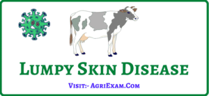 Know about lumpy skin disease